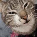 xito